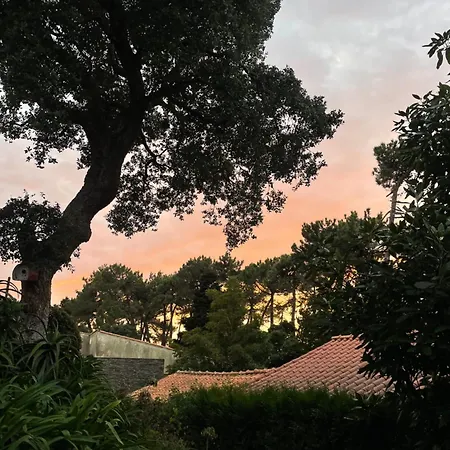 Casa Do Pinhal