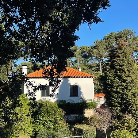 게스트하우스 Casa Do Pinhal 몰레도